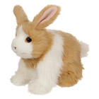 Hop Hop Mon Lapin Beige et Blanc