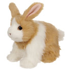 Hop Hop Mon Lapin