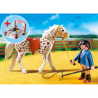 5107-Cheval et Monitrice