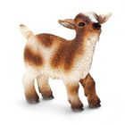 Chevreau Nain 