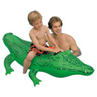 Crocodile à chevaucher