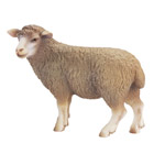 Mouton Debout