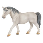 Jument Lipizzan