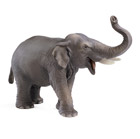 Eléphant Indien Mâle
