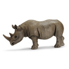 Rhinocéros Noir