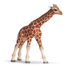 Bébé Girafe