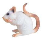 Souris Blanche