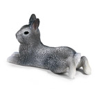 Lapin Nain