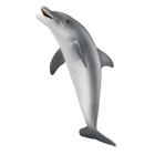Dauphin