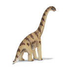Brachiosaurus