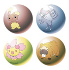 Coffret 8 boules Pokemon