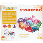 Petit chimiste cristaux magiques