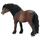 Poney Dartmoor