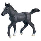Poulain Lipizzan