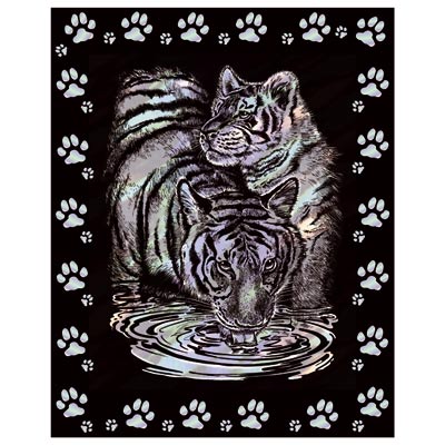 Scraper Nacre! Le Tigre du Bengale et son petit