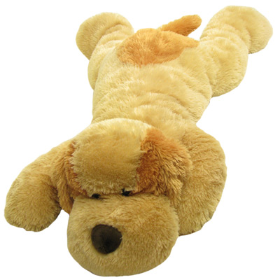 Chien couché 1m