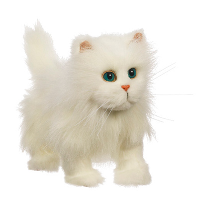 En avant mon petit chat-Blanc
