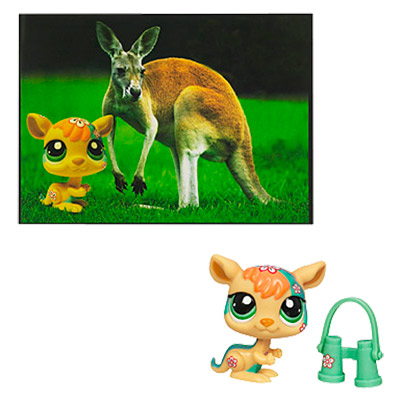 Petshop Kangourou et Carte Postale