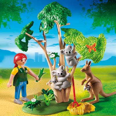 4854-Arbre à Koalas