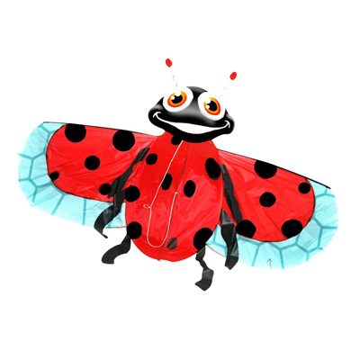 Cerf Volant 3D Coccinelle