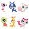 Petshop Single