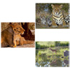 Puzzle 1500 Pièces Géo