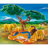 4830-Famille De Lions Avec Singes