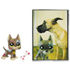 Petshop Grand Danois et Carte Postale