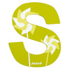 Lettre décorative en bois -S