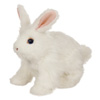 Hop Hop Mon Lapin Blanc