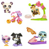 Petshop Duo ou avec accessoires
