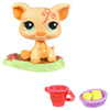 Petshop et accessoires : Cochon