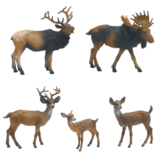 Coffret d'Animaux de la For�t
