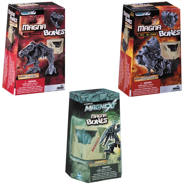 Mini magna bones