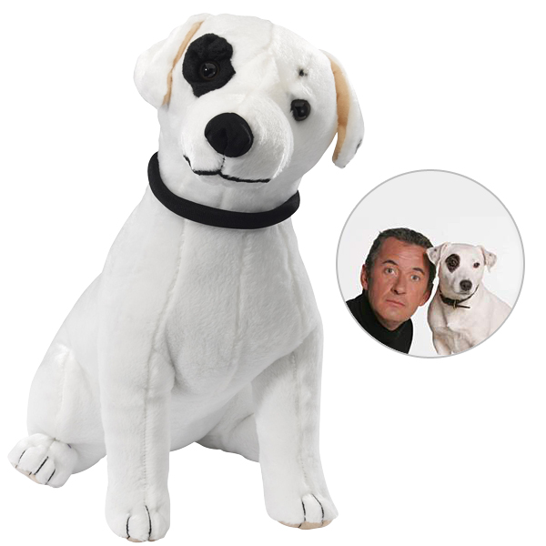 Adeck Chien de Dechavanne GM