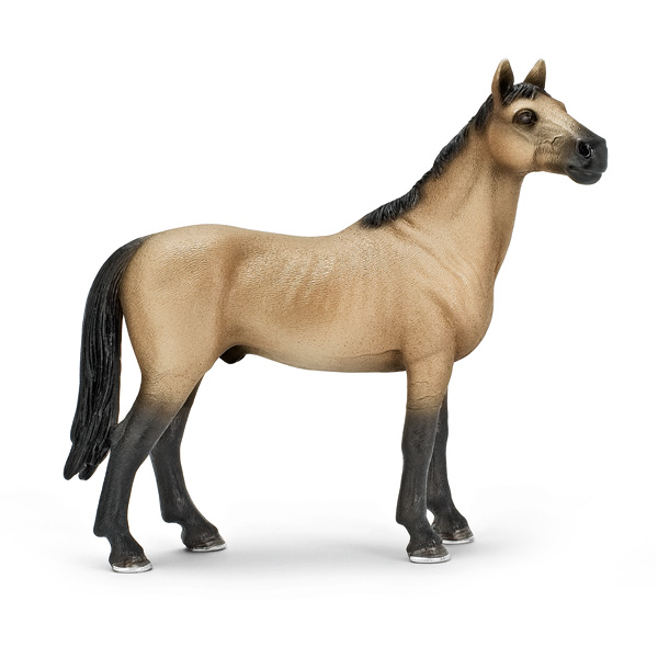 Etalon Akhal-Teke+ Figurines et cartes à collectionner + Schleich