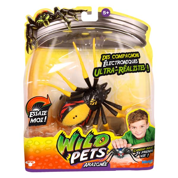 Direct jouets Jeux educatifs Araignée veuve rouge kanaï kids