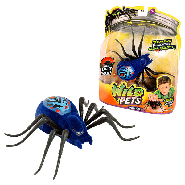 Araignée Interactive Bleue de Kanai Kids