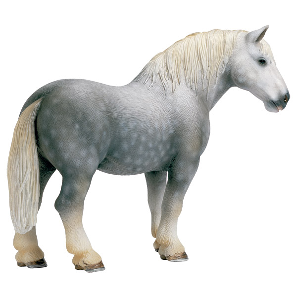 Etalon percheron