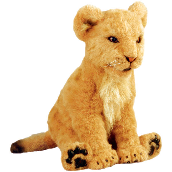 Lion cub