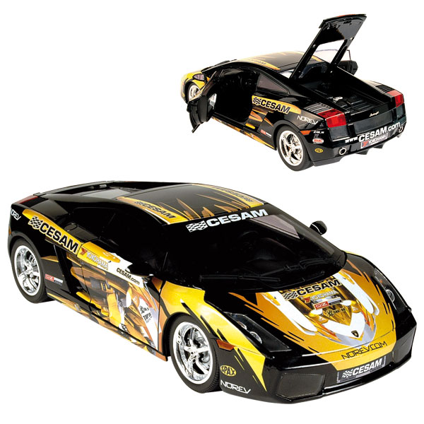 Gallardo Cesam 122131