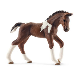 Poulain Trakehnen