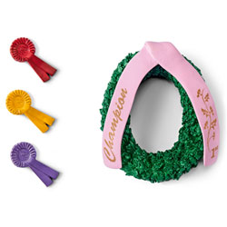 Kit de victoire cheval