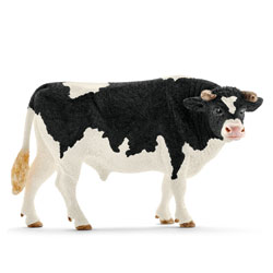 Taureau holstein