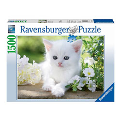 Puzzle 1500P Chaton blanc