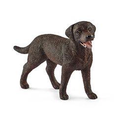 Chien Labrador Retriever femelle