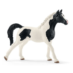 Figurine étalon Pintabian