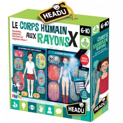 Le corps humain aux rayons X