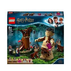 75967 - LEGO® Harry Potter - La Forêt interdite la rencontre d'Ombrage