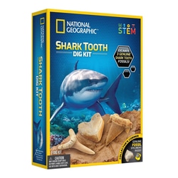 Kit de fouille fossiles - Dents de requin